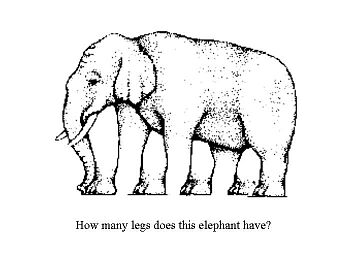 Click to play Elephant legs illusion