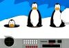 Play Snowball Bash